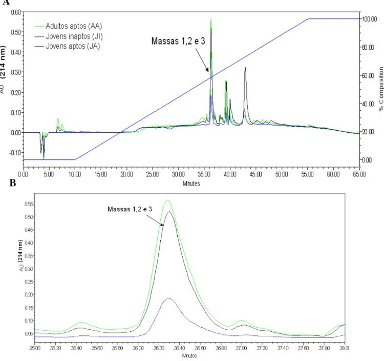 Figura 3. A) Perfis cromatográficos de fase reversa das amostras de plasma seminal de touros jovens 