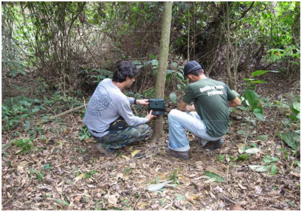 Figura 4 – Armadilha fotográfica (camera  trap), modelo Tigrinus ® , instalada  em árvore, a cerca de 50 cm do solo