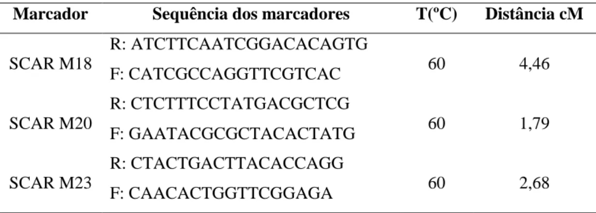 Tabela  6.  Marcadores  SCAR  validados  utilizados  na  análise,  suas  sequências  e  temperaturas de anelamento T(ºC) validadas no presente trabalho e distância entre o  gene e o marcador molecular estimada no trabalho conduzido por Diola et al