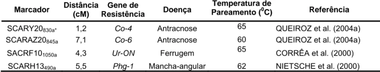 Tabela 1 - Marcadores moleculares ligados a genes de resistência do feijoeiro- feijoeiro-comum a ferrugem, antracnose e mancha-angular usados durante a  seleção  Marcador  Distância  (cM)  Gene de  Resistência Doença  Temperatura de Pareamento (0C) Referên
