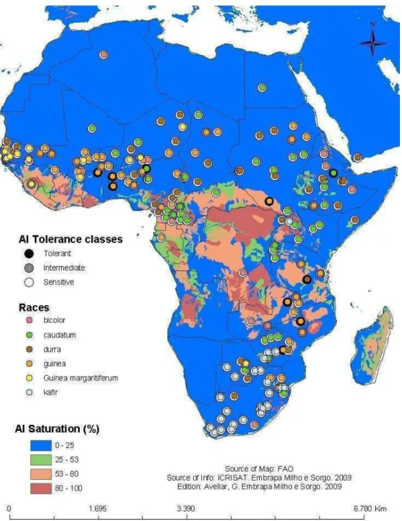 Figure  1:  Geographical  and  racial  distributions  of  the  sorghum  accessions  evaluated  in  this  study 