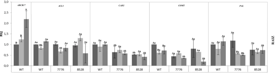 Fig  14  –  Expressão  relativa  de  alguns  genes  da  rota  de  lignina,  em  diferentes  tecidos  submetidos  ao  tratamento  com  ácido  ferúlico  e  PIP