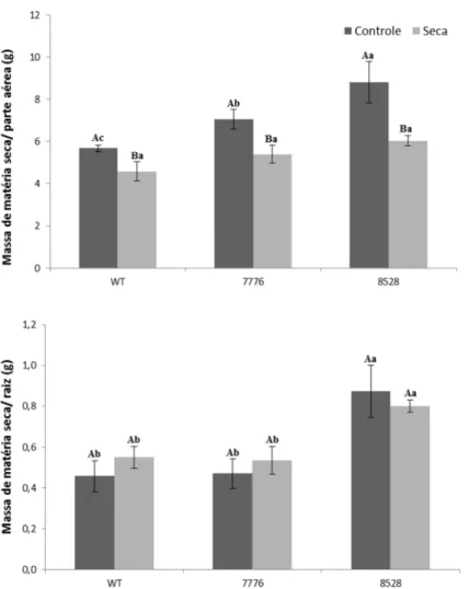 Figura  17  -  Massa  de  matéria  seca  da  parte  aérea  e  de  raiz,  nos  genótipos  tipo  selvagem  e  mutantes  após  7  dias  submetidos  a  seca