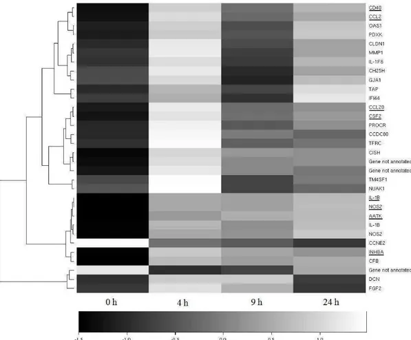 Fig. 3 Heatmap of the expression profiles of the differentially expressed genes by the 