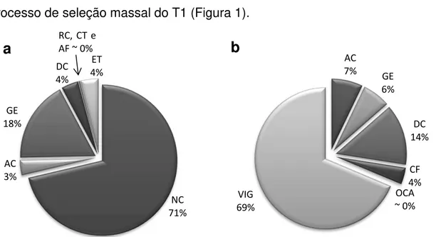 Figura  1  -  Importância  dos  caracteres  agronômicos  no  processo  de  seleção 