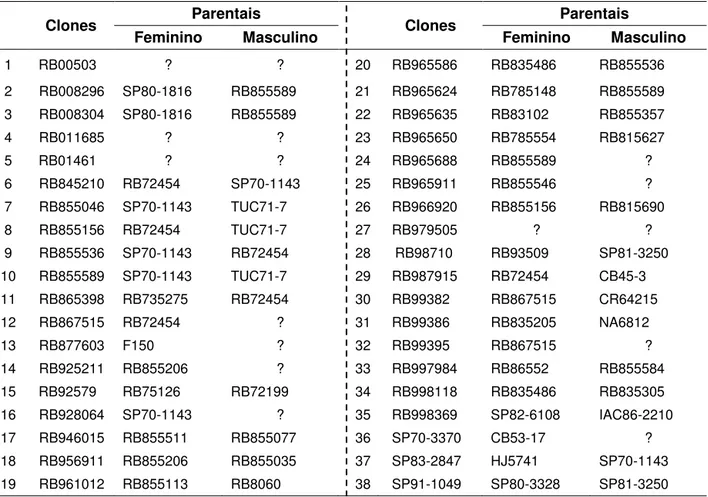 Tabela  1  -  Relação  dos  38  Clones  utilizados  nos  cruzamentos  e  seus  respectivos  parentais  
