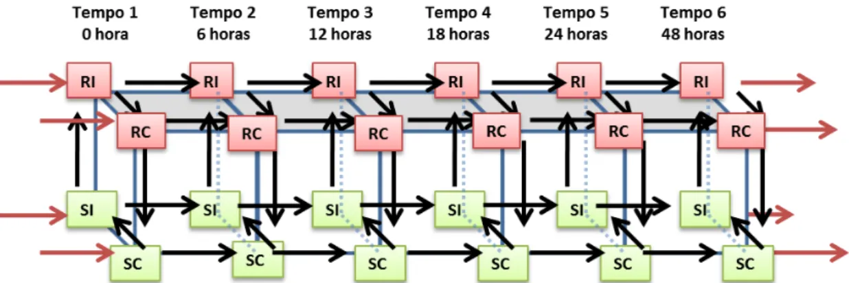 Figura  1.  Planejamento  experimental  do  tipo  gaiola  (Cage)  para  o  perfil  de  expressão  do  genoma  completo