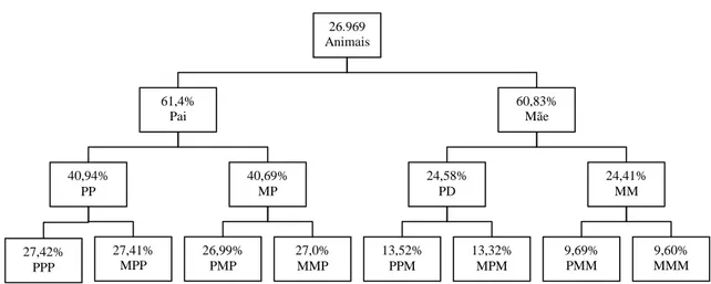 Figura 1. Nível de conteúdo de informação do pedigree na população Girolando.   PP é o pai do pai (avô paterno); MP, a  mãe do pai (avó paterna); PM, o pai da  mãe (avô  materno);  MM,  a  mãe  da  mãe  (avó  materna);  PPP,  o  pai  do  PP  (bisavô  pater