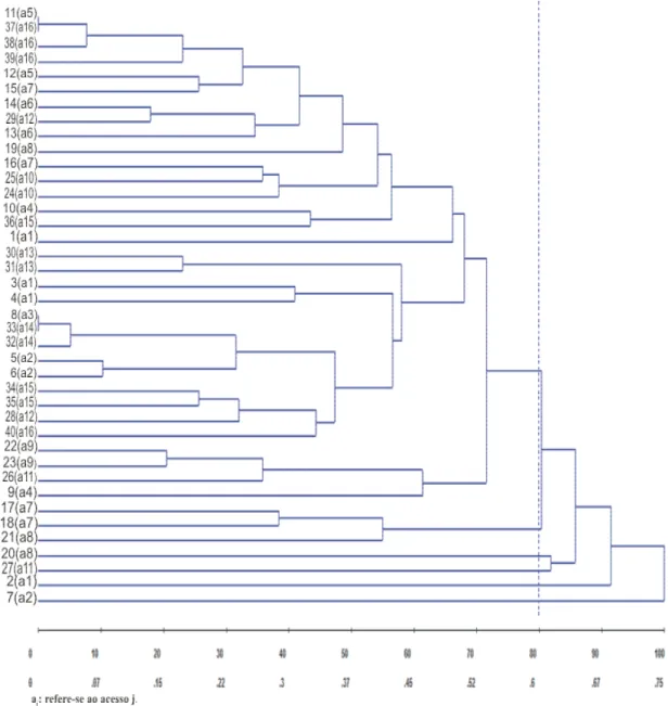 Figura 2 – Dendrograma obtido pelo método de agrupamento de ligação média entre grupos  (UPGMA)  de  40  plantas  oriundas  de  16  acessos  de  E