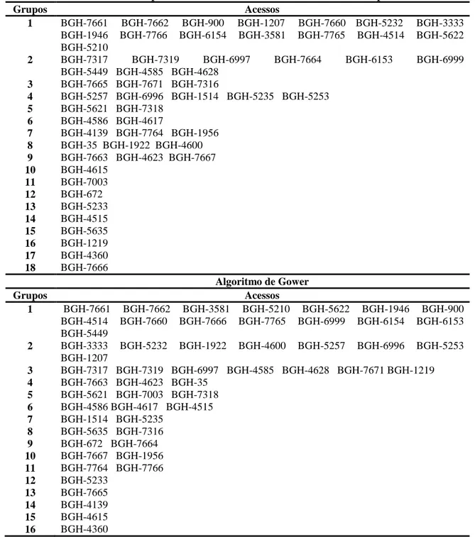 Tabela  5. Agrupamento  de  54  acessos  de  abóbora  do  Banco  de  Germoplasma  de  Hortaliças  da  Universidade  Federal  de  Viçosa,  pelo  método  de  Tocher,  com  base na dissimilaridade dos caracteres qualitativos