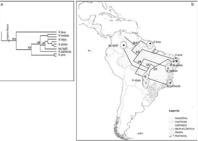 Figura 7. Mapa indicando a posição geográfica dos espécimes amostrados  para o subgênero  Melipona  utilizadas neste estudo