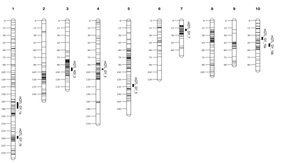 Fig.  1.  Graphical  overview  of  the  grain  yield  (GY)  and  anthesis-silking  interval  (ASI)  meta-QTLs  in  consensus  map  of  the  three  maize 