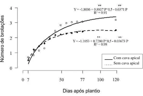 Figura  2.  Número  de  brotações  de  plantas  de  taioba  ‘Caipira’,  com  meristema  apical  (sem  cava  apical)  ou  sem  meristema  apical  (com  cava  apical),  após armazenamento de 3 meses a 5 ºC