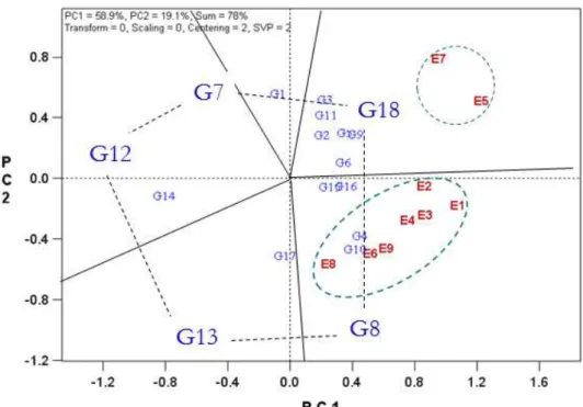 Figura 1  – Exemplo de gráfico construído por meio da metodologia de análise  gráfica “GGE biplot” aplicada a um conjunto de dados com 19 genótipos (G)  testados em 9 ambientes (E)