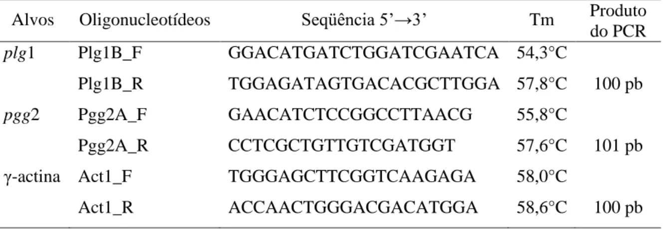 Tabela 1: Seqüência de oligonucleotídeos para as reações de PCR em tempo real 