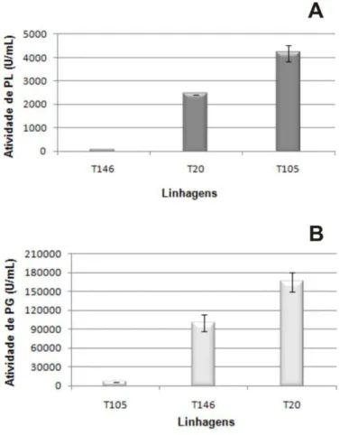 Figura  4:  Atividade  de  PL  e  de  PG  no  sobrenadante  da  cultura  das  linhagens  recombinantes  T105,  T146  e  T20