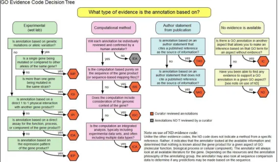 Figura  3  –  Fundamentação  de  cada  tipo  de  código  de  evidência  do  GO.  Extraída  de  &lt;http://www.geneontology.org/GO.evidence.tree.shtml&gt; 