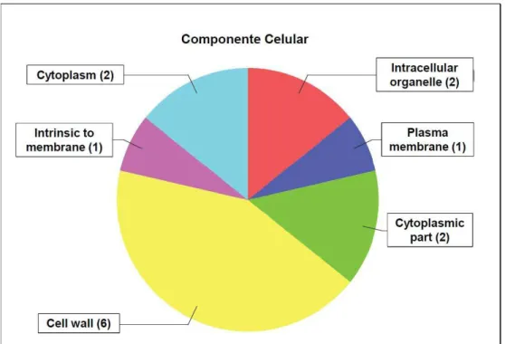 Figura 3 – Distribuição dos termos GO na categoria Componente Celular, nível 3. 