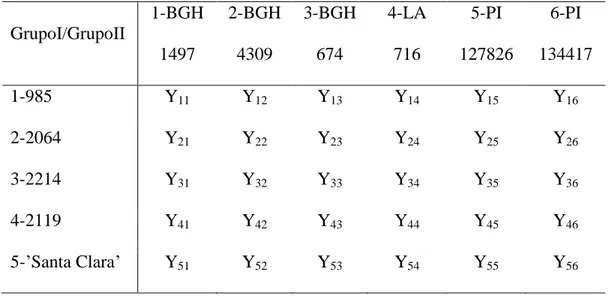 Tabela  1.  Esquema  de  um  dialelo  resultante  do  cruzamento  entre  cinco  genitores  do  grupo I e seis genitores do grupo II