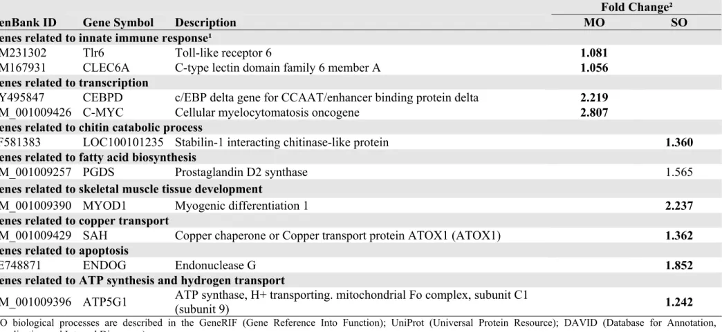 Table 5. Genes of known function differentially expressed in the MO-SO comparison  
