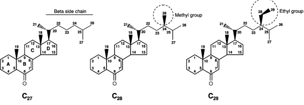 Figure 1. General structure of C 27 , C 28 , and C 29  ECDs. 