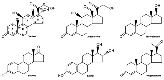 Figure 2. Major human steroid hormones.  