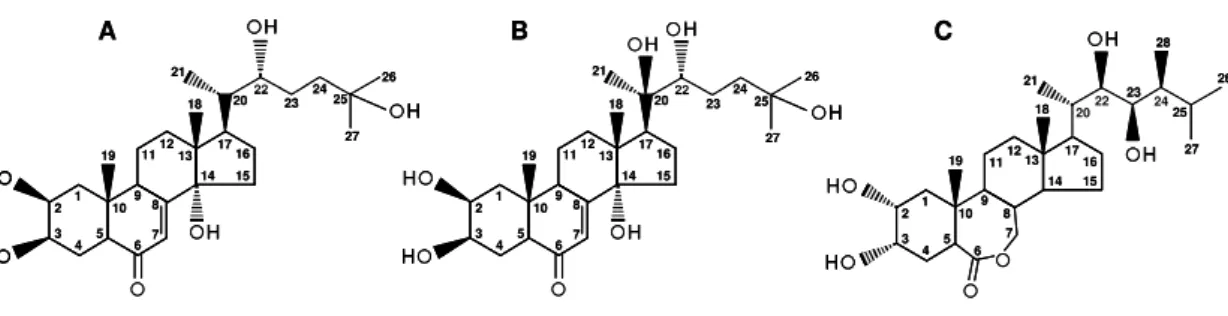 Figure 3. Structural representation of ecdysone (A), 20-hydroxyecdysone (B),  and 24-epibrassinolide (C)