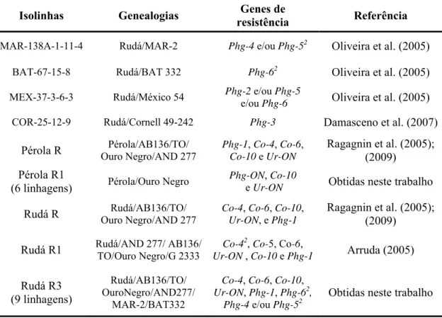 Tabela 1.  Isolinhas intercruzadas e/ou avaliadas visando melhoramento genético  para resistência à mancha-angular, antracnose e ferrugem do feijoeiro