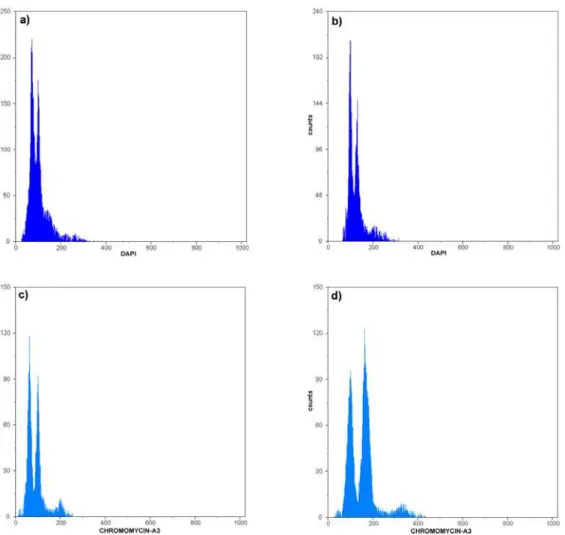 Fig 3 – FCM histograms of fluorescent intensity of G0/G1 nuclei stained with  DAPI (a, b) and CMA3 (c, d)