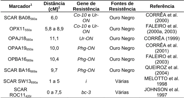 Tabela 4.  Marcadores moleculares ligados aos genes de resistência à  ferrugem, antracnose, mancha-angular e mosaico-comum  utilizados nos processos de caracterização dos genitores