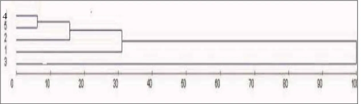 Figura 2. Dendrograma obtido pelo método de média de grupo (UPGMA) com base  no efeito dos tratamentos homeopáticos 1 - Kali carbonicum 8CH; 2 -  Antimonium crudum 8CH; 3 - Arsenicum album 8CH; 4 - Natrum  muriaticum 8CH e 5 - controle (água destilada)