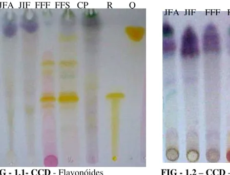 FIGURA 1 –  Resultados da triagem fitoquímica por CCD nas plantas de: Jambu parte 