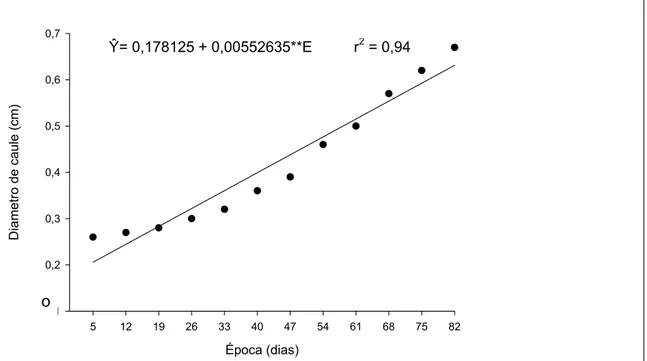 Gráfico 2 - Estimativa do diâmetro de caule (cm) das plantas de  E. globulus em função da época
