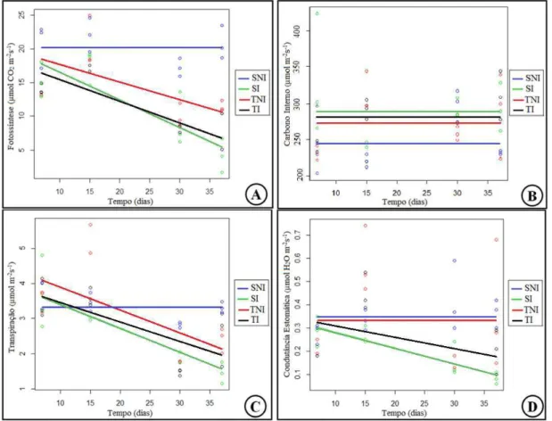 Figura  6.  Respostas  fisiológicas.  A-  Fotossíntese  líquida.  B-  Carbono  interno