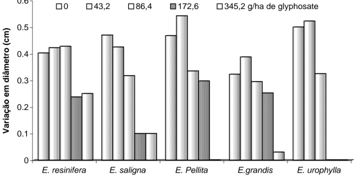 Figura 6- Variação em diâmetro do caule de diferentes espécies de eucalipto no período de 45 dias após 