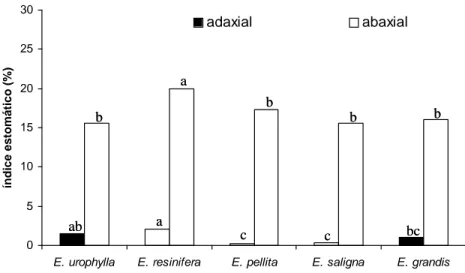 Figura  3-  Índice  estomático  de  cinco  espécies  de  Eucalyptus.  Médias  seguidas  pelas  mesmas  letras  dentro  da  mesma  face  epidérmica  não  diferem  entre  si  a  5%  de  probabilidade pelo Teste de Tukey