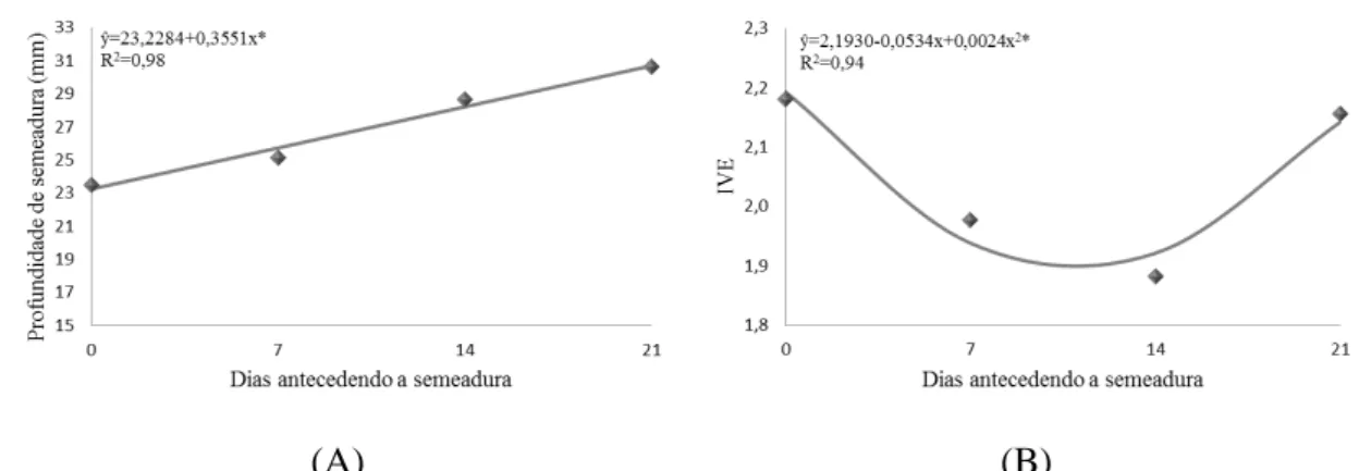 Figura  2.  Modelo  de  regressão  linear  para  a  profundidade  de  semeadura  (A)  e  o  índice de velocidade de emergência (B) em função das diferentes épocas de manejo  da cobertura antecedendo a semeadura do milho
