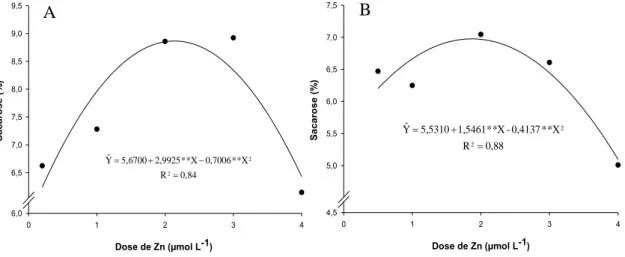 Figura 13  – Teor de sacarose nos grãos crus de cafeeiro em função das doses de zinco  em solução nutritiva, no primeiro ano (A) e segundo ano (B) de avaliação