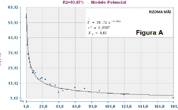 Figura  6A-    Relação  entre  coeficiente  de  variação  (CV%)  e  tamanho  de 