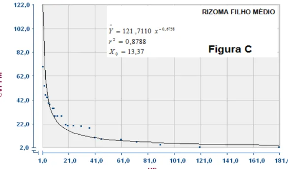 Figura  6C  -  Relação  entre  coeficiente  de  variação  (CV%)  e  tamanho  de 