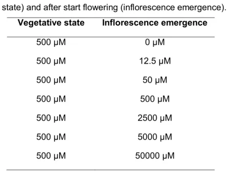 Table  3.  Plant  growth  conditions:  phosphate  levels  and  temperature  before  flowering  (seedling)  and  after  start  flowering  (inflorescence  emergence)