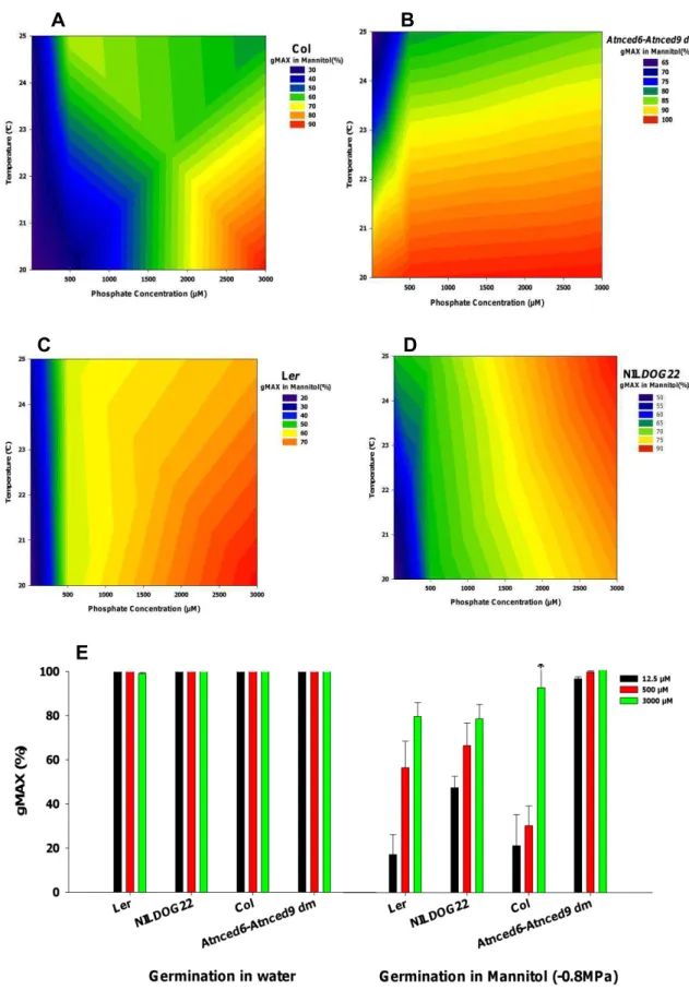 Figure  11.  Germination  in  Mannitol  (-0.8MPa).  Interaction  of  phosphate  concentration  and  temperature  during  seed  development  in  different genotypes: (A) Col; (B) Atnced6-Atnced9 (dm); (C) Ler; (D)  NILDOG22;  (E)  Comparison  between  germi