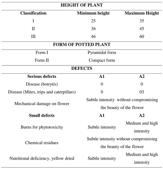 Table 1. Characteristics analyzed to classification of campanulas potted (Veiling  Holambra, 2013) 