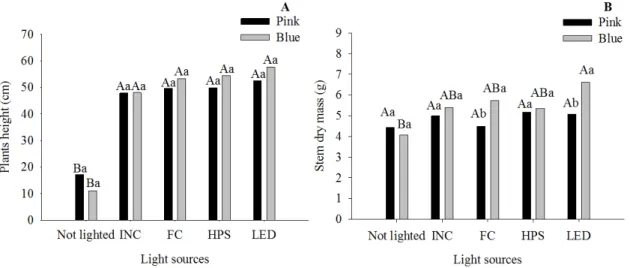 Figure 2. Plants height (cm) (A) and stem  dry mass (g) of campanula ‘Champion Pink’  and ‘Champion Blue’ under light emitted by incandescent (INC), fluorescent (FC), high  pressure  sodium  (HPS),  light  emitting  diodes  (LED)  lamps  or  no  lighted