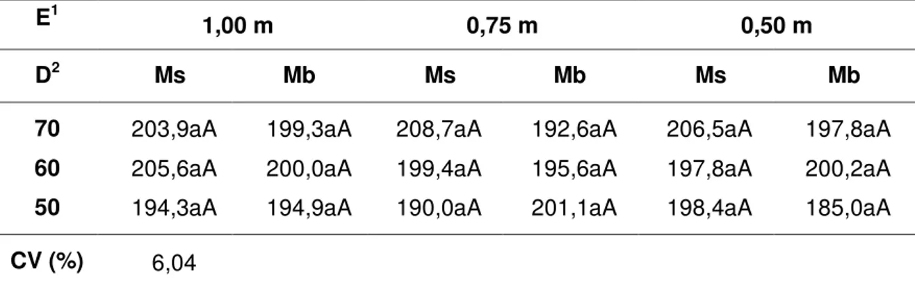 Tabela 4  – Altura de plantas de milho (cm) em função de densidades de plantio,  espaçamento e sistemas de cultivo (milho solteiro  – Ms e consorciado  com braquiária  – Mb)