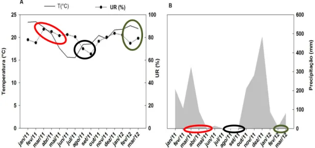Figura 3. Dados médios mensais de temperatura (°C) e umidade relativa do ar (A) e  precipitação (B) durante o período de 01/2011 a 03/2012