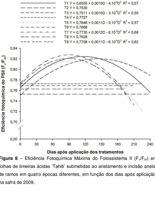 Figura  8  –  Eficiência  Fotoquímica  Máxima  do  Fotossistema  II  (F v /F m )  em 