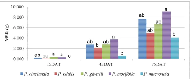 Figura  11.  SVstema  radVcal  das  espécVes    (1),    (2),   (3),   (4) e   (5) aos 75 dVas após o transplantVo  (DAT)