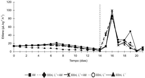 Figura 11 – Produção de etileno em melões Charentais, híbrido Aura Prince,  submetidos a aplicação pós-colheita de 1-MCP (300 e 600 nL·L -1 ),  associados ou não a atmosfera modificada e armazenados a temperatura  refrigerada por 14 dias (9 ± 1 ºC e 87 ± 5