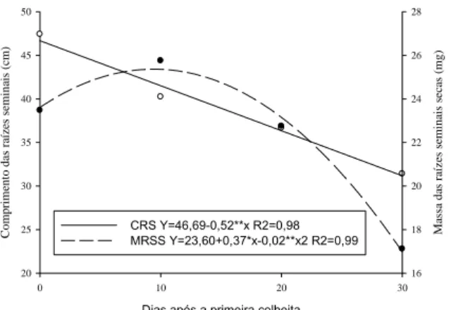 Figura 2. Comprimento das raízes seminais e massa das raízes seminais  secas de sementes de milho colhidas com teor de água de 25 % e  10, 20 e 30 dias depois